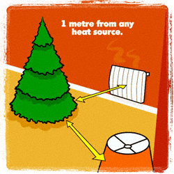 Tree one meter from any heat source